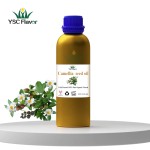 Camellia Oil - Cold Pressed Organic Seed Oil