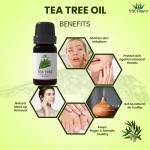 Essential Oil Set - Lavender Peppermint Tea Tree