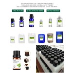 Camphor Powder - Peppermint Flavor Raw Material