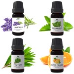 Essential Oil Set 10mlx4 - Organic Aromatherapy