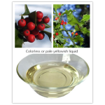 Wintergreen Oil - Pure Essential Massage Oil