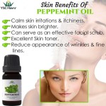 Essential Oil Set 10mlx4 - Organic Aromatherapy