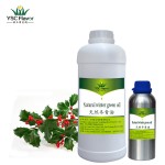 Wintergreen Oil - Pure Essential Massage Oil