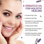 Lavender Roll On - Calming Aromatherapy Oil