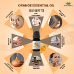 Essential Oil Set - Lavender Peppermint Tea Tree