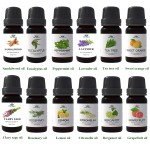 Aromatherapy Set - 12 Pack Synergy Blends
