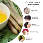 Citronella Oil - Bulk Mosquito Repellent