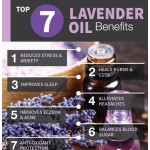 Lavender Oil Roll On - Skin Care Sleep Aid