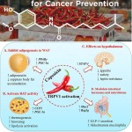 Capsicum Extract - Pure Natural Capsaicin