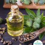 Black Castor Oil - Scalp Treatment Essential
