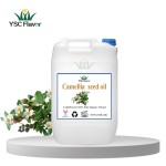 Camellia Oil - Cold Pressed Organic Seed Oil