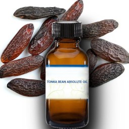 Tonka Bean Oil - 100% Pure Absolute Essential