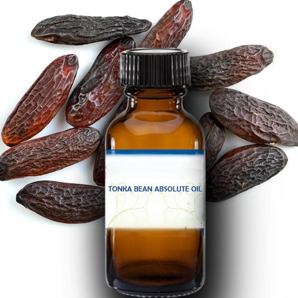 Tonka Bean Oil - 100% Pure Absolute Essential