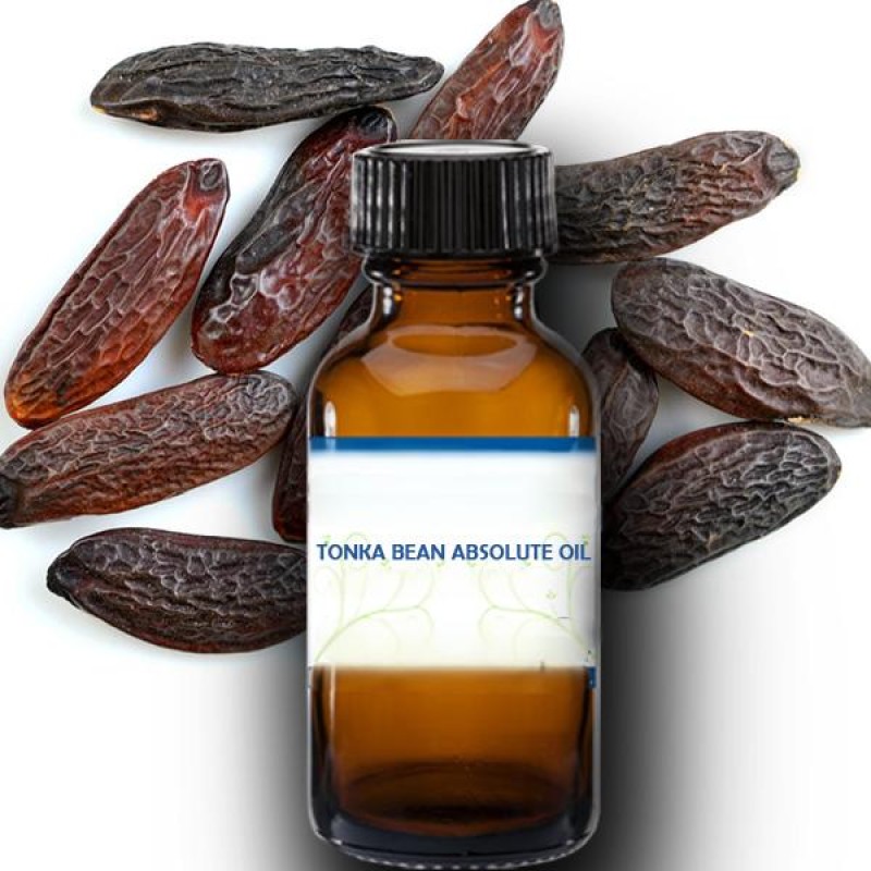 Tonka Bean Oil - 100% Pure Absolute Essential