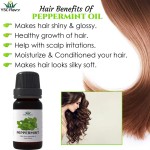 Essential Oil Set - Lavender Peppermint Tea Tree