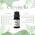 Essential Oil Set - 10 Pure Natural Oils Blend