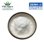 WS-23 Powder - High Purity Cooling Agent
