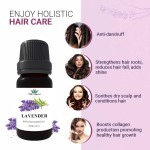 Aromatherapy Set - Therapeutic Grade Essential