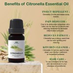 Citronella Oil - Bulk Mosquito Repellent
