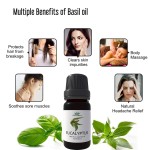 Essential Oil Set - 10 Pure Natural Oils Blend