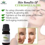 Citronella Oil - Bulk Mosquito Repellent