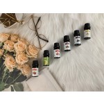 Essential Oil Set - 12 Bottle Aroma Diffuser