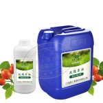 Rosehip Seed Oil - Cold Pressed Face Care