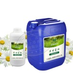 Chamomile Oil - Natural Skin Cleansing Aromatherapy