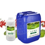 Geranium Oil - Pure Essential Oil Bulk Supply