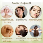 Jojoba Oil - Organic Skin Moisturizer Carrier