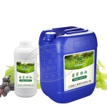 Grape Seed Oil - Organic Essential Extract