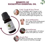 Aromatherapy Set - Therapeutic Grade Essential