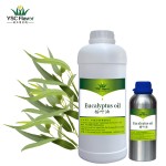 Eucalyptus Oil - Natural Air Freshener Aromatherapy