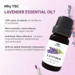 Aromatherapy Set 10mlx8 - Organic Essential Oil