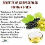 Grape Seed Oil - Organic Essential Extract