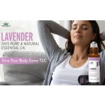 Lavender Roll On - Calming Aromatherapy Oil