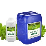 Peppermint Oil - DIY Soap Candle Making