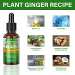 Hair Growth Serum - Organic Essential Care