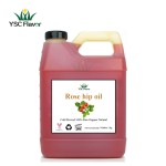 Carrier Oil Set - OEM Organic Cold Pressed Blend