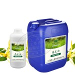 Ylang Ylang Oil - Organic Plant Extract Essential