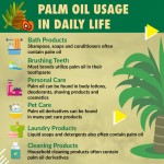 Palm Oil - Vegetable Cooking Carrier Oil
