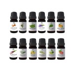 Aromatherapy Set - 12 Pack Synergy Blends