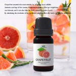 Essential Oil Set - 10 Pure Natural Oils Blend