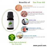 Aromatherapy Set - Therapeutic Grade Essential