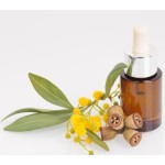 Eucalyptus Oil - Natural Air Freshener Aromatherapy