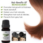 Aromatherapy Set - Therapeutic Grade Essential