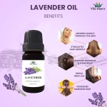 Aromatherapy Set - 12 Pack Synergy Blends