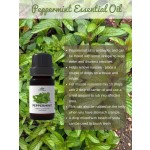 Essential Oil Set 10ml - Peppermint Gift Package