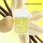 Hand Sanitizer 30ml - Alcohol Spray Mist