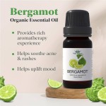 Essential Oil Set - 10 Pure Natural Oils Blend